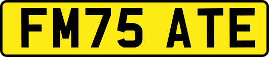 FM75ATE