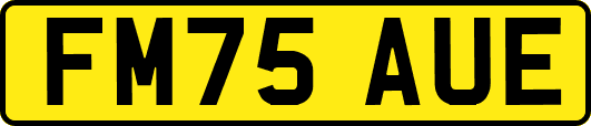 FM75AUE