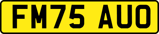 FM75AUO
