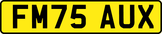 FM75AUX