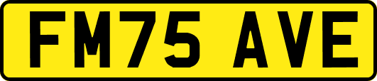 FM75AVE