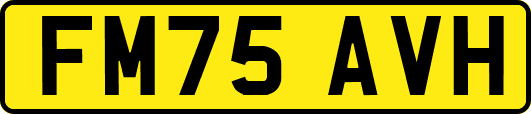 FM75AVH
