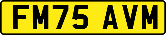 FM75AVM