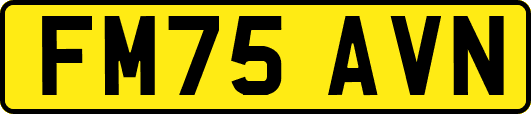 FM75AVN