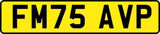 FM75AVP