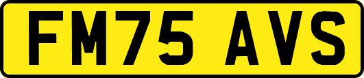 FM75AVS