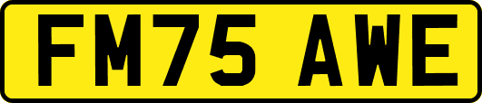 FM75AWE