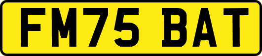 FM75BAT