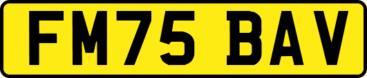 FM75BAV