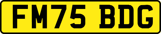 FM75BDG