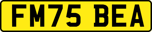 FM75BEA