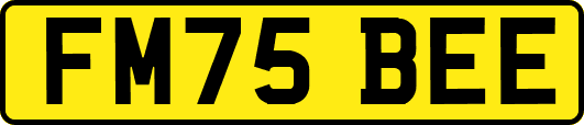 FM75BEE