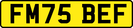 FM75BEF