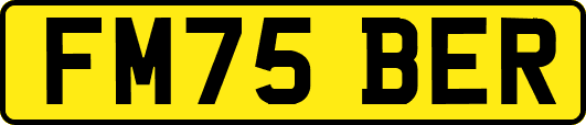 FM75BER