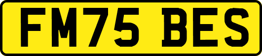 FM75BES