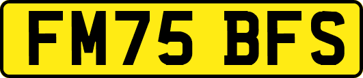 FM75BFS
