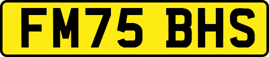 FM75BHS