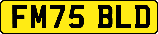 FM75BLD