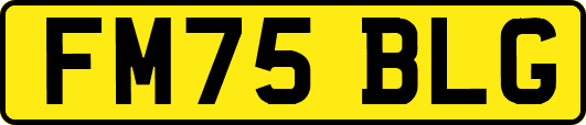 FM75BLG