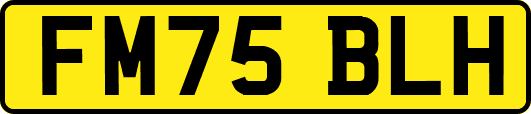 FM75BLH
