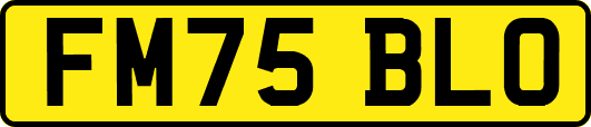 FM75BLO