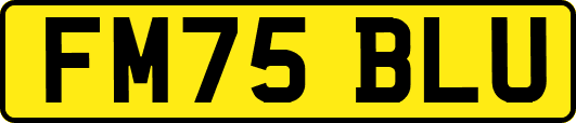 FM75BLU