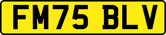 FM75BLV