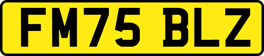 FM75BLZ
