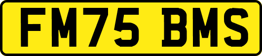 FM75BMS