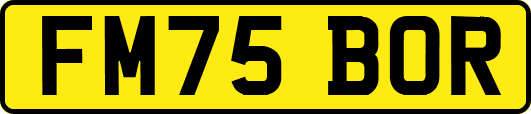 FM75BOR
