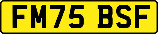 FM75BSF