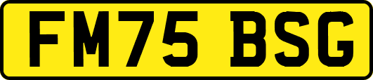 FM75BSG
