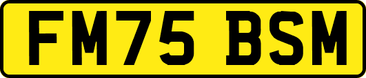 FM75BSM