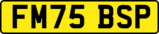 FM75BSP