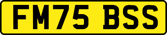 FM75BSS