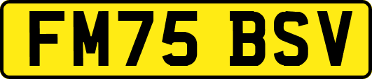 FM75BSV