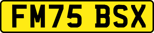 FM75BSX