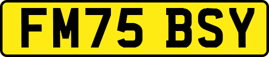 FM75BSY