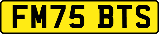 FM75BTS
