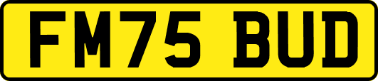 FM75BUD