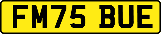 FM75BUE