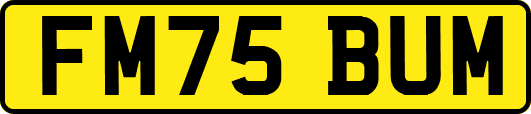 FM75BUM