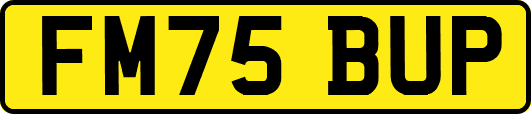 FM75BUP
