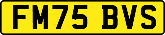 FM75BVS