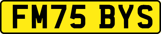 FM75BYS
