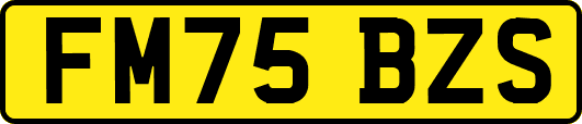 FM75BZS