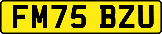 FM75BZU