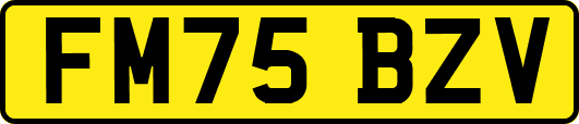 FM75BZV