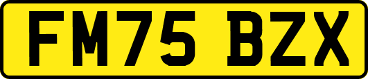 FM75BZX