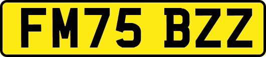 FM75BZZ